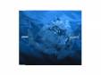 press(1st press)[CD]nord