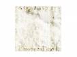 Emotional days. / In dying days.[CD]Re:dis