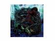 Storm of Resurrection[]PUKELIZATION