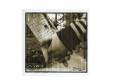 ȥ꡼ 04ǯ[CD]Prototype