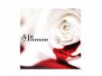 Blossom[]Sugar