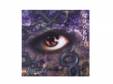 [CD]Verfegorl