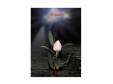Actually[CD]