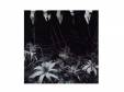 aint afraid to dieDir en grey