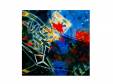 ȳڱ Type-B[CD]ͷ⡹ġߡPaRADEiS