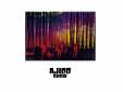 AJICO SHOW[ʥ]AJICO