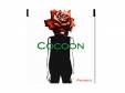 COCOONPIERROT