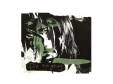 CLEVER SLEAZOIDDir en grey