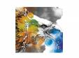 Υǥ A[CD]