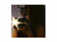 SHINE B[CD]12012