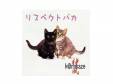 ꥹڥȥХ[CD]k@mikaze