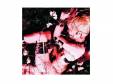 ARTIFICIAL DELUSION [CD]BLAM HONEY