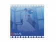 Scene 73 ޡ[CD]