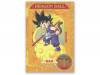 DRAGON BALL vol.1 DVD*