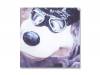 C.B.Jim /BLANKEY JET CITYʡ*