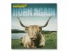 HORN AGAIN(DVD) / the pillowsʡ*
