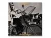 ڹťեƥ(DVD) / ԥ*