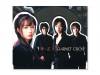 ̴ֲ()GARNET CROW*