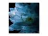 LUNA SEA MEMORIAL COVER ALBUM-Re:birth-