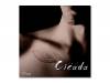 Cicadarice