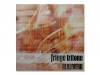 REALIVERB[]fringe tritone