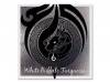 White Buffalo Turquoise[]6(ƣ긭)