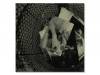 ͥȥݥ[ DVD]Plastic Tree