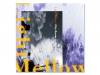 Light Mellow-City Breeze from East-WARNER Edition[]˥Хʰƣ伡¾