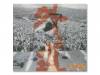 ٥ȳƻ[ DVD]ƻGedo