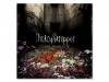 THE BEAUTY[]DaizyStripperʥǥȥåѡ