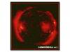 CANNONBALL Vol.1[]˥Х(Dʪ󤺡ۥ롢ɥԥShulla)