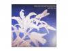 Julies ill e.p[CD]Cathy lost ones apricot yesterday