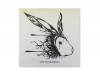 3rd DEMO[CD]THE NOVEMBERS