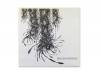 2nd DEMO[CD]THE NOVEMBERS