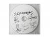 THE ADVENT MELODY MUSIC CLIP[DVD-R]SKYWINGS