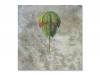Melancholiac Composers With No Destination[]Z.O.A