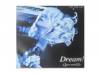 Dream![DVD]LIGHT BRINGERʥ饤ȥ֥󥬡