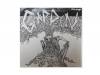 DEMO[CD]GARDEN