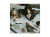 SPELL MAGIC[][DVDդ]Acid Black Cherry