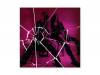 Bullet Queen[]Libraian