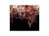 alcove / 1[ DVD]acid android