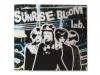 SUNRISE BLOOM[]lab.