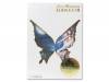Koda Kumi Premium DVD[ڡŵDVD]̤
