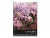 /ɥ[]LAREINE