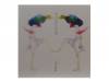 ֥󥷥Υ[CD]ѥԥ