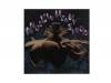 II[]Angelin Heavy Syrup