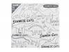 We were dinosaur in 2012[CD]७åġSIAMESE CATS