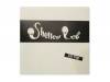 1st trap[CD]Shelley Lee