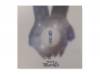 ز[CD]Marelyʥᥢ꡼