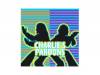 CHARLIES PARDONS[500]pardons(ѥɥ)